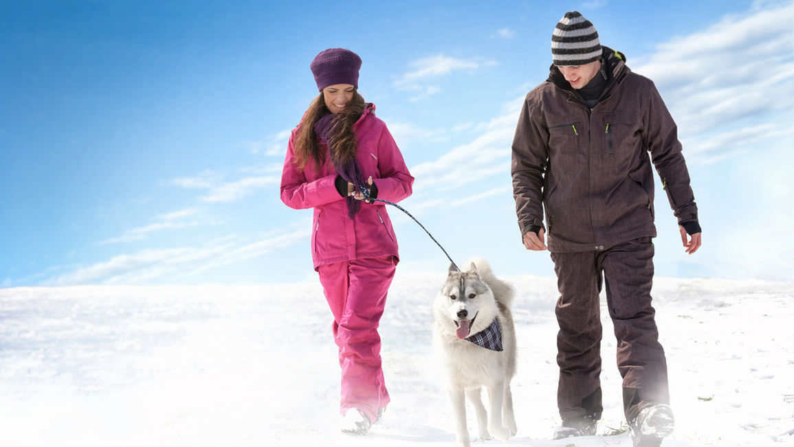 Regina, Saskatchewan Hotels: 4 Must-Know Winter Pet Travel Tips