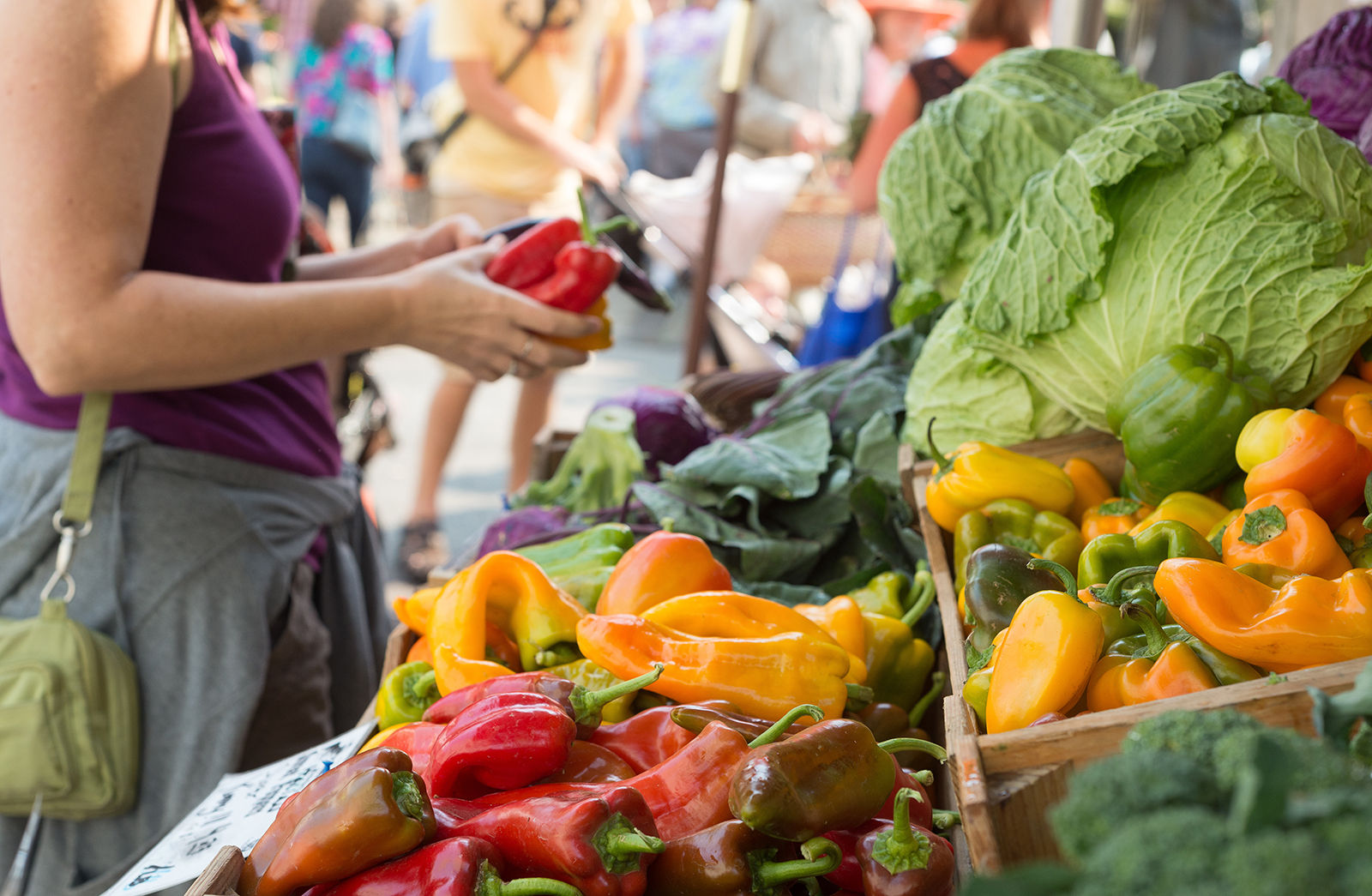 The Regina Farmers Market is just one of the events worth going to from your Regina hotel.