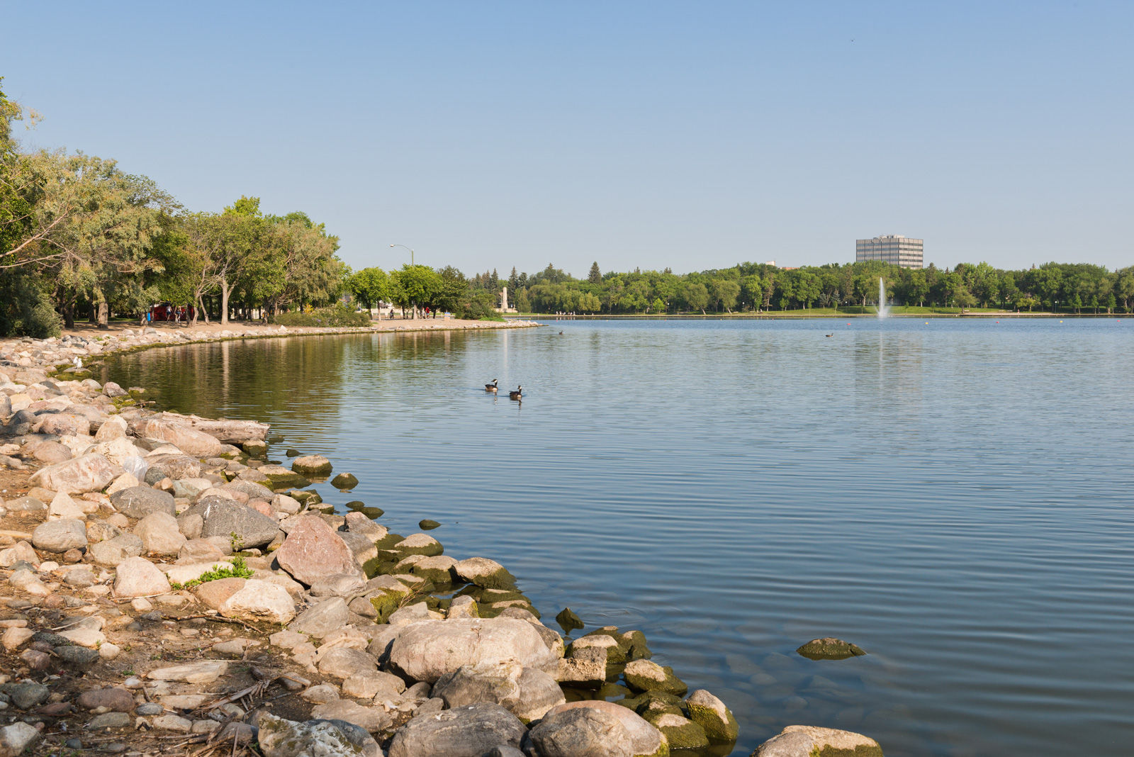Locals, as well as visitors staying at pet friendly hotels in Regina enjoy walking their dogs at Wascana Lake Park.